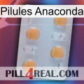 Anaconda Pills 24
